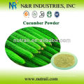 Herbal Powder Supplier Cucumber Powder